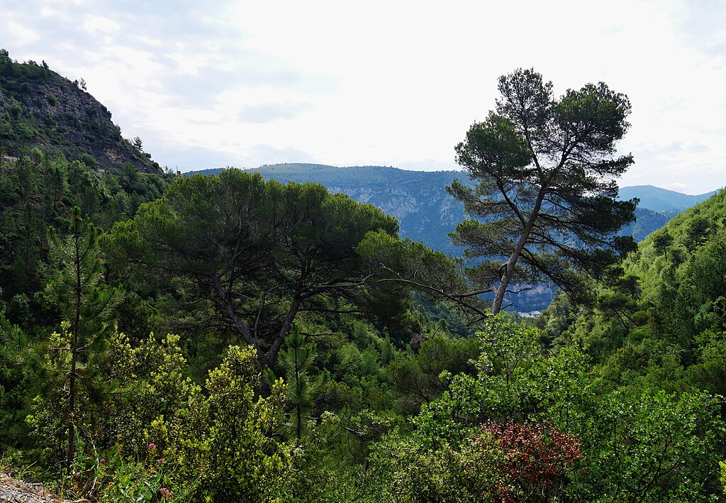 Pompe à chaleur air/eau Alpes-Maritimes