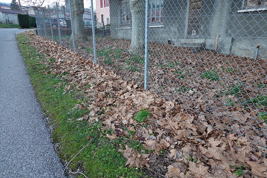 Pompe à chaleur air/eau Bellegarde-sur-Valserine
