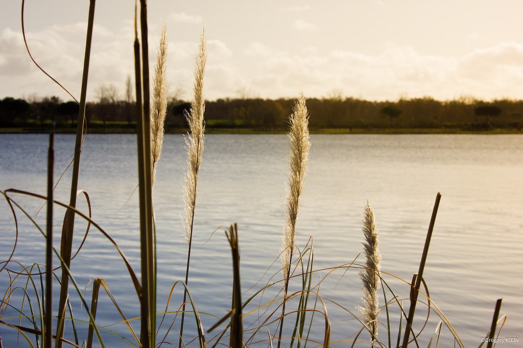 Pompe à chaleur air/eau Tournefeuille