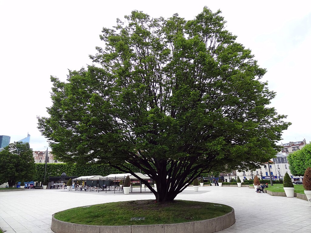 Pompe à chaleur air/eau Puteaux